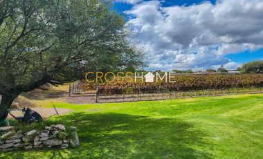 TERRENOS RESIDENCIALES EN VENTA DENTRO DE VIÑEDO EN QRO.