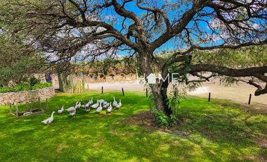 TERRENOS RESIDENCIALES EN VENTA DENTRO DE VIÑEDO EN QRO.