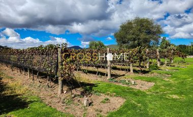 TERRENOS RESIDENCIALES EN VENTA DENTRO DE VIÑEDO EN QRO.