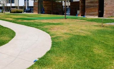 JUAN GIL/CARR COLOTLAN ACCANTA RESIDENCIAL