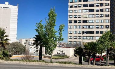 BOSQUE REAL  TIVE BAUME
