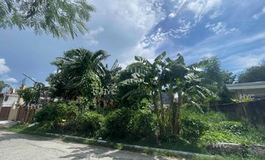 BIG CUT lot in United Parañaque Subdivision 5 694sqm Sucat Parañaque nr PATTS C