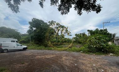 TERRENO PLANO EN VENTA DE 13,689 M2 EN PLAYA DE VACAS