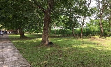 6,000sqm PEZA LOT FOR LEASE Sta. Rosa Laguna