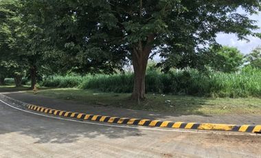 6,000sqm PEZA LOT FOR LEASE Sta. Rosa Laguna