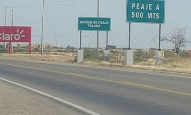 Terreno en Talara de 98 has