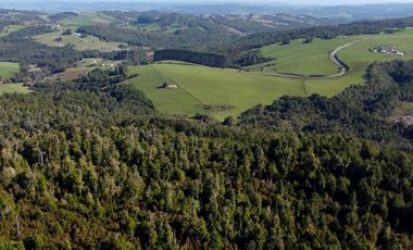 Campo en venta de 9,06 hectáras entre Los Muermos y Estaquilla