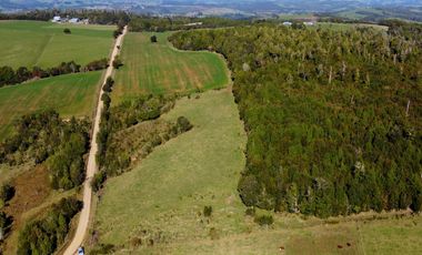 Campo en venta de 9,06 hectáras entre Los Muermos y Estaquilla