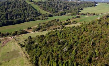 Campo en venta de 9,06 hectáras entre Los Muermos y Estaquilla