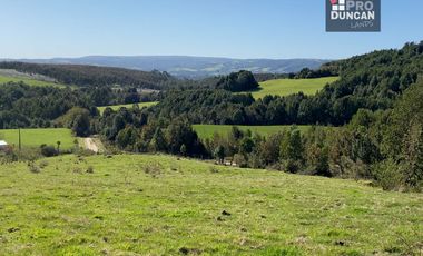 Campo en venta de 9,06 hectáras entre Los Muermos y Estaquilla