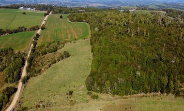 Campo en venta de 9,06 hectáras entre Los Muermos y Estaquilla