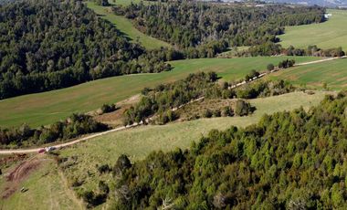Campo en venta de 9,06 hectáras entre Los Muermos y Estaquilla