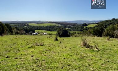 Campo en venta de 9,06 hectáras entre Los Muermos y Estaquilla