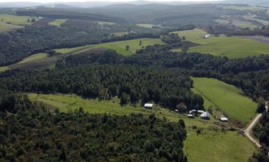 Campo en venta de 9,06 hectáras entre Los Muermos y Estaquilla