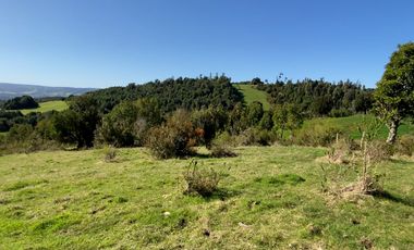 Campo en venta de 9,06 hectáras entre Los Muermos y Estaquilla