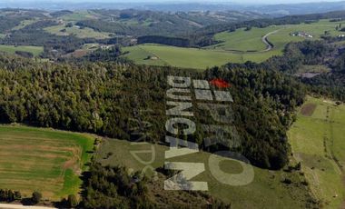 Campo en venta de 9,06 hectáras entre Los Muermos y Estaquilla