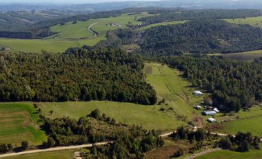Campo en venta de 9,06 hectáras entre Los Muermos y Estaquilla