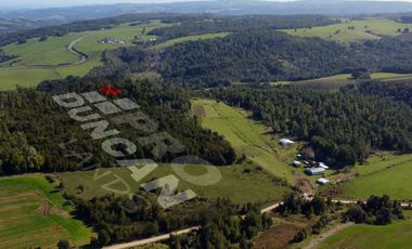 Campo en venta de 9,06 hectáras entre Los Muermos y Estaquilla