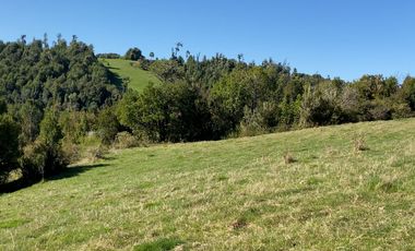 Campo en venta de 9,06 hectáras entre Los Muermos y Estaquilla