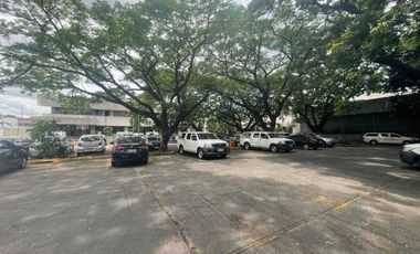 Commercial lot for Sale near Harrison Street Pasay City