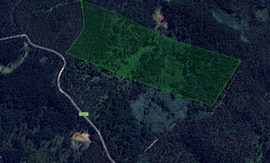 Campo 8,5 Há, sector La Calle, Hualqui