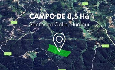 Campo 8,5 Há, sector La Calle, Hualqui