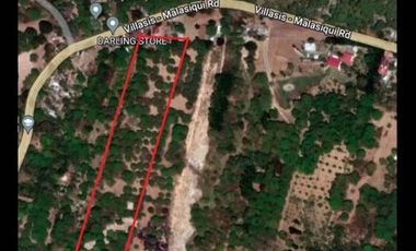 16000 sqm Lot For Sale in Pangasinan