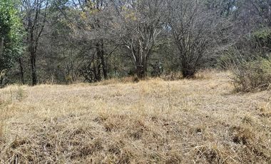 Venta de Terreno a descendente, sobre avenida, con paso de riachuelo, cerca del centro