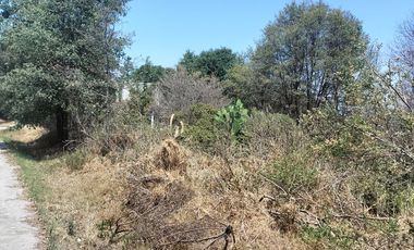 Venta de Terreno a descendente, sobre avenida, con paso de riachuelo, cerca del centro