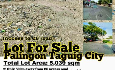 Lot For Sale in Taguig City Palingon Access to C6 Road