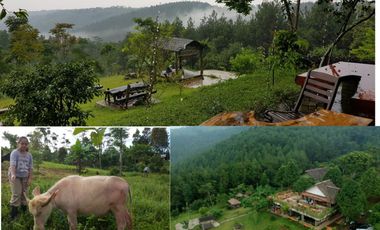 Tanah Strategis untuk Usaha Pariwisata dan Tempat Tinggal