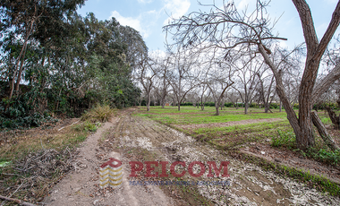 LOTE DE CAMPO EN CONDOMINIO EXCLUSIVO