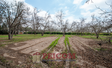 LOTE DE CAMPO EN CONDOMINIO EXCLUSIVO