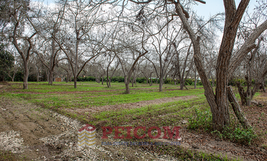 LOTE DE CAMPO EN CONDOMINIO EXCLUSIVO