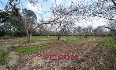 LOTE DE CAMPO EN CONDOMINIO EXCLUSIVO