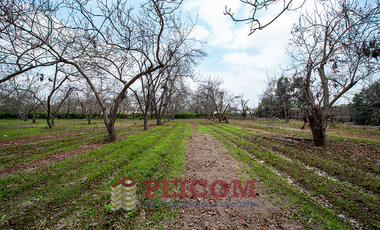 LOTE DE CAMPO EN CONDOMINIO EXCLUSIVO