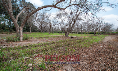 LOTE DE CAMPO EN CONDOMINIO EXCLUSIVO