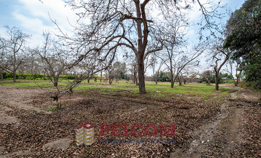 LOTE DE CAMPO EN CONDOMINIO EXCLUSIVO