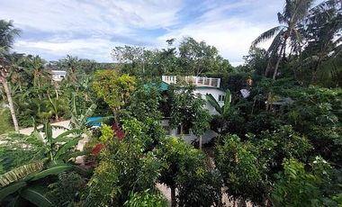 SIQUIJOR PROPERTY FOR SALE OR FOR LEASE
