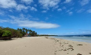 SIQUIJOR PROPERTY FOR SALE OR FOR LEASE