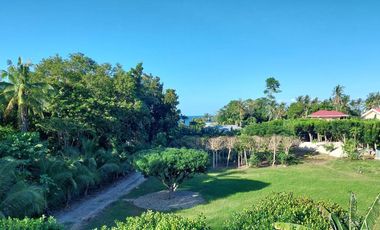 SIQUIJOR PROPERTY FOR SALE OR FOR LEASE
