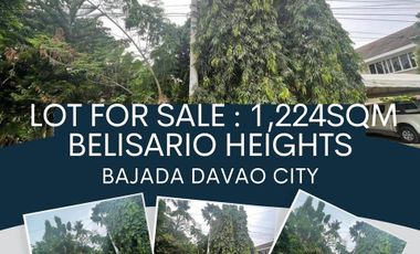 City Proper Lot for Sale, Belisario Heights, Lanang-Damosa Davao City