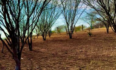 TERRENOS ECONOMICOS EN PUERTO ESCONDIDO