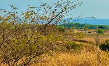 TERRENOS ECONOMICOS EN PUERTO ESCONDIDO