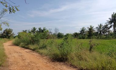 Rice field land sale, 4rai, 1.6MB, Bung Kla Subdistrict, Mueang District, Chaiyaphum.