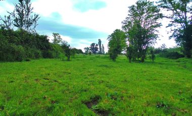 VENDO PROPIEDAD CON EXELENTE UBICACION EN ALONSO DE ERCILLA CHILLAN