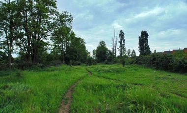 VENDO PROPIEDAD CON EXELENTE UBICACION EN ALONSO DE ERCILLA CHILLAN