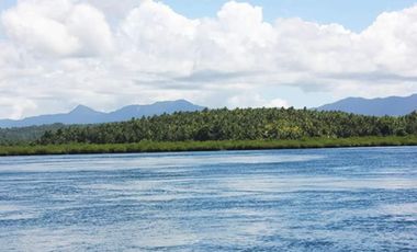 🌴 Unveil Your Private Island Oasis: Kabo (Kabusgan) Awaits 🌴, Surigao City, Surigao Del Norte, Philippines