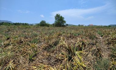 70-1-71 RAI | EXCELLENT LAND INVESTMENT! PRIME DEVELOPMENT LAND PRICED WELL BELOW MARKET VALUE