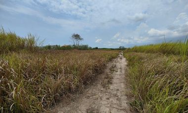 70-1-71 RAI | EXCELLENT LAND INVESTMENT! PRIME DEVELOPMENT LAND PRICED WELL BELOW MARKET VALUE